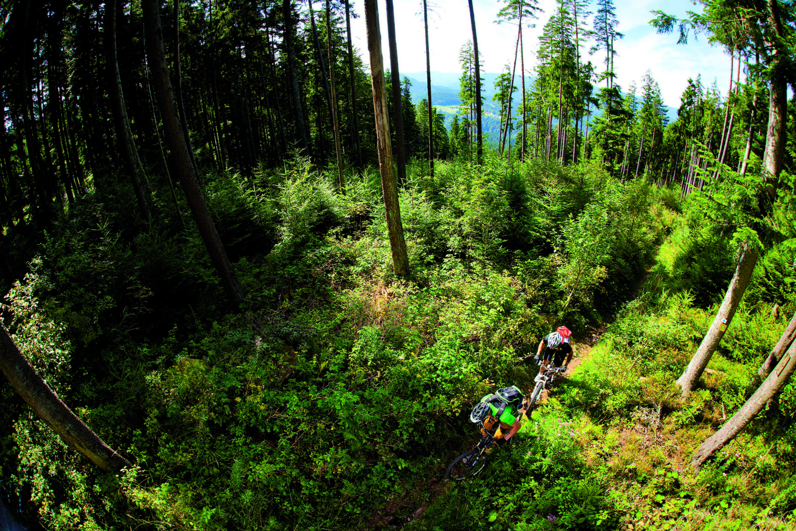 beitune BikeReisen MTB Schwarzwald beitune BikeReisen MTB Schwarzwald