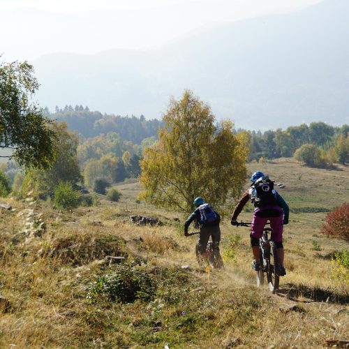 Beim Trailcamp Vogesen sind wir auf zahlreichen Trails unterwegs.