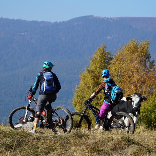 MTB-Camp für Frauen