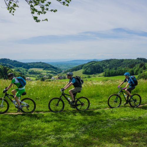 Erlebe 4 tolle Tage und Schwarzwald pur.
