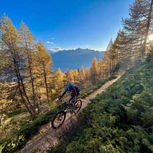 MTB Trailcamps im Wallis mit beitune