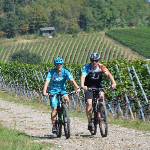 beitune MTB E-MTB E-Bike Kaiserstuhl