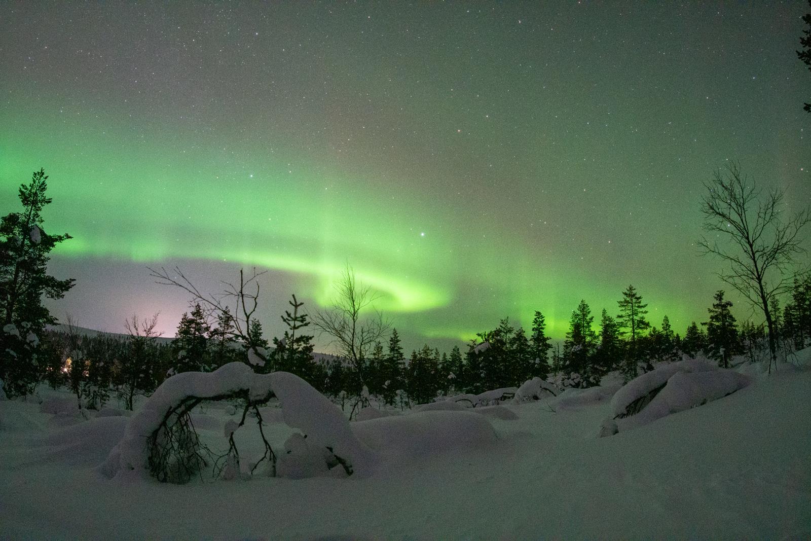 beitune Winterzauber & Nordlichter in Finnisch Lappland