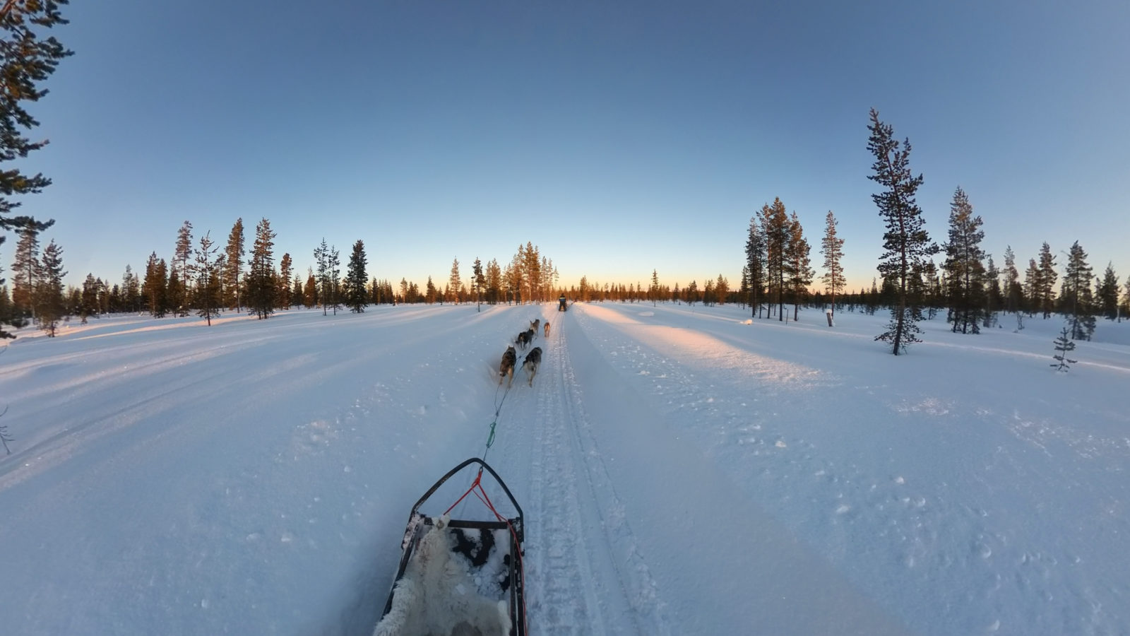 beitune Winterzauber in Finnisch Lappland - Huskyschlittentour