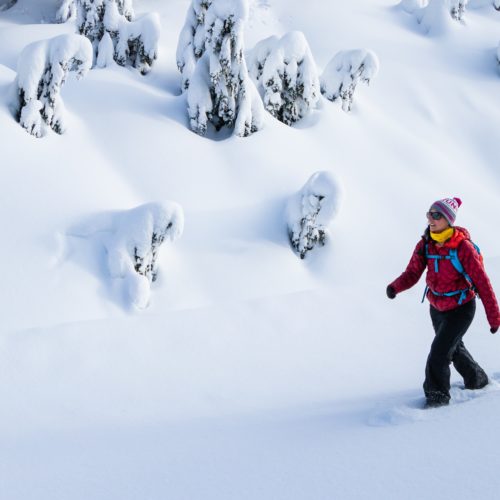 beitune Schneeschuhtour in den Vogesen