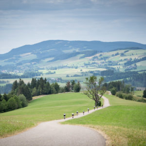 Rennradfahrer auf der Rennradtour im Schwarzwald