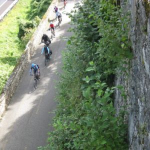 Die Radwege der Alpe Adria Genusstour laden zum Dahinrollen ein.