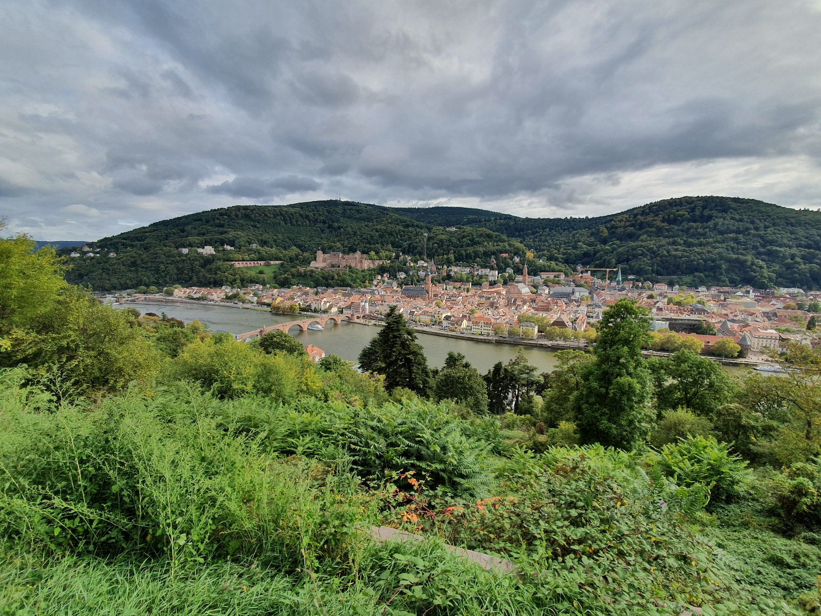 beitune-mtb-odenwald beitune mtb odenwald - Sicht auf Heidelberg