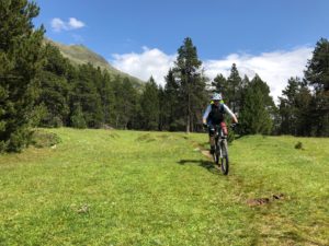 Saftig grüne Wiesen auf der beitune MTB-Trailtour Ischgl-Livigno