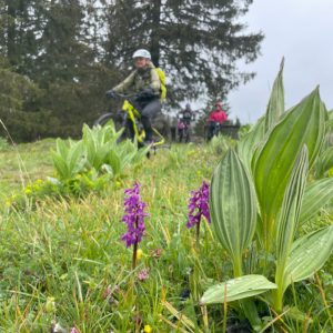 beitune Jura-Cross