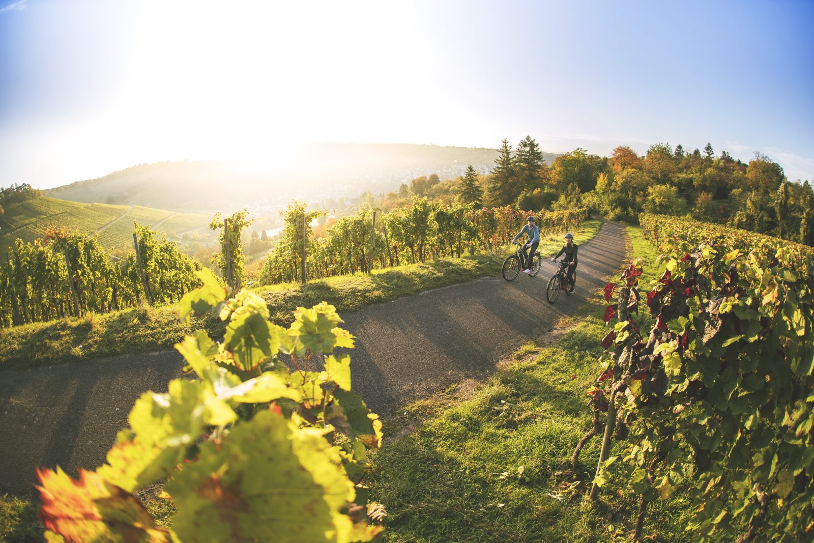 CENTURION_Lhasa_E_R_MY20_DG697814_Shooting_Stuttgart-2019 Vélo et Vin - beitune Genusstour durch die Weinberge im Elsass