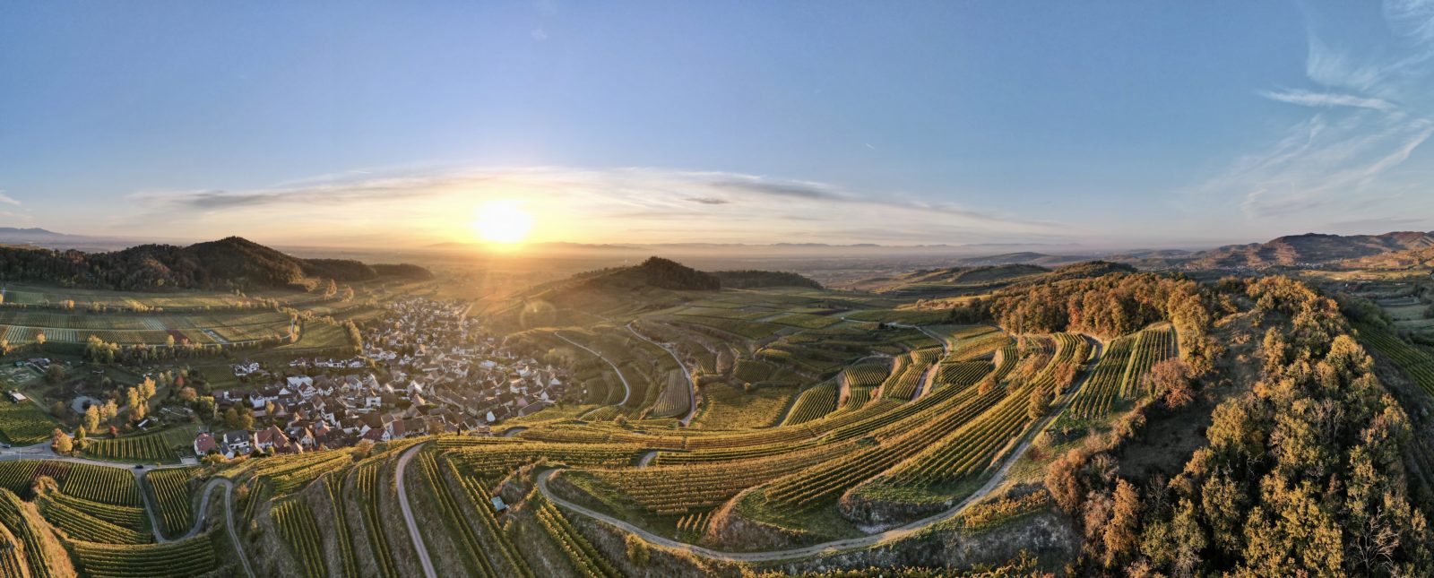 Elsässer Weinradweg - eine Genusstour mit dem Rad