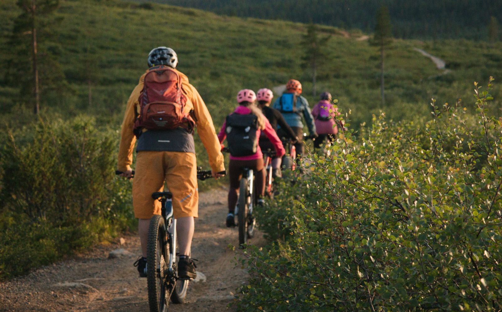 beitune Bike& Nature in Finnisch Lappland