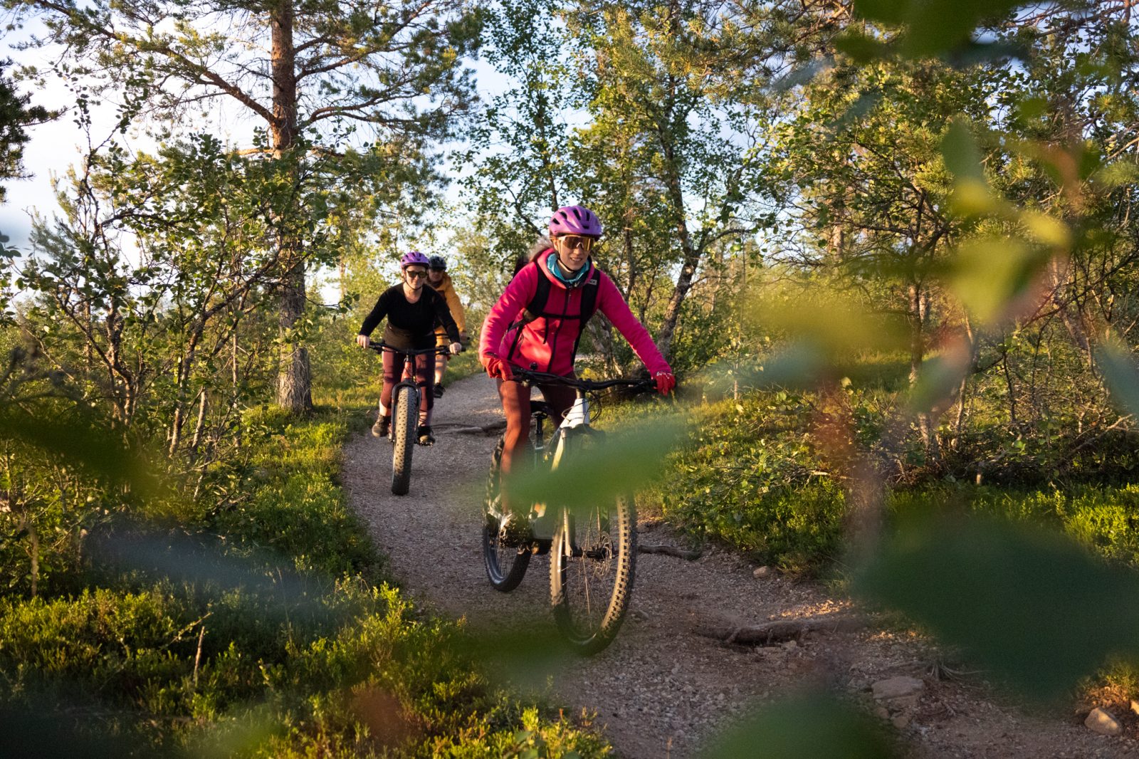 beitune Bike& Nature in Finnisch Lappland