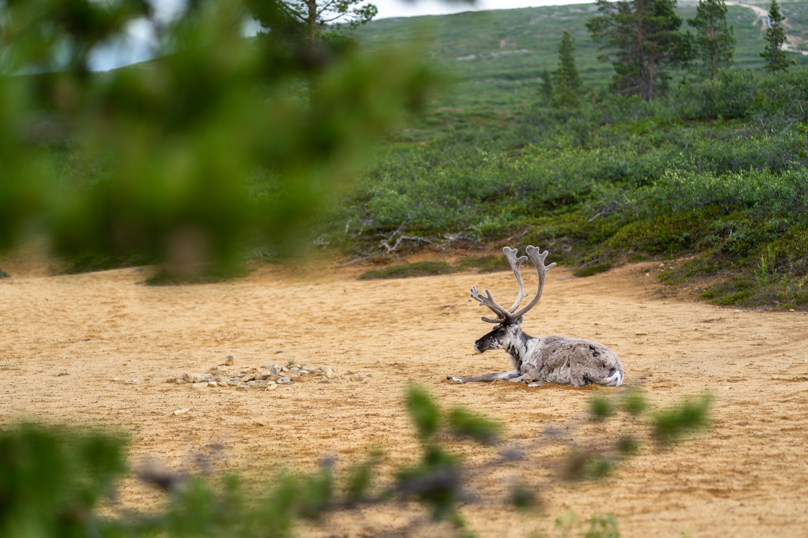 beitune Bike& Nature in Finnisch Lappland