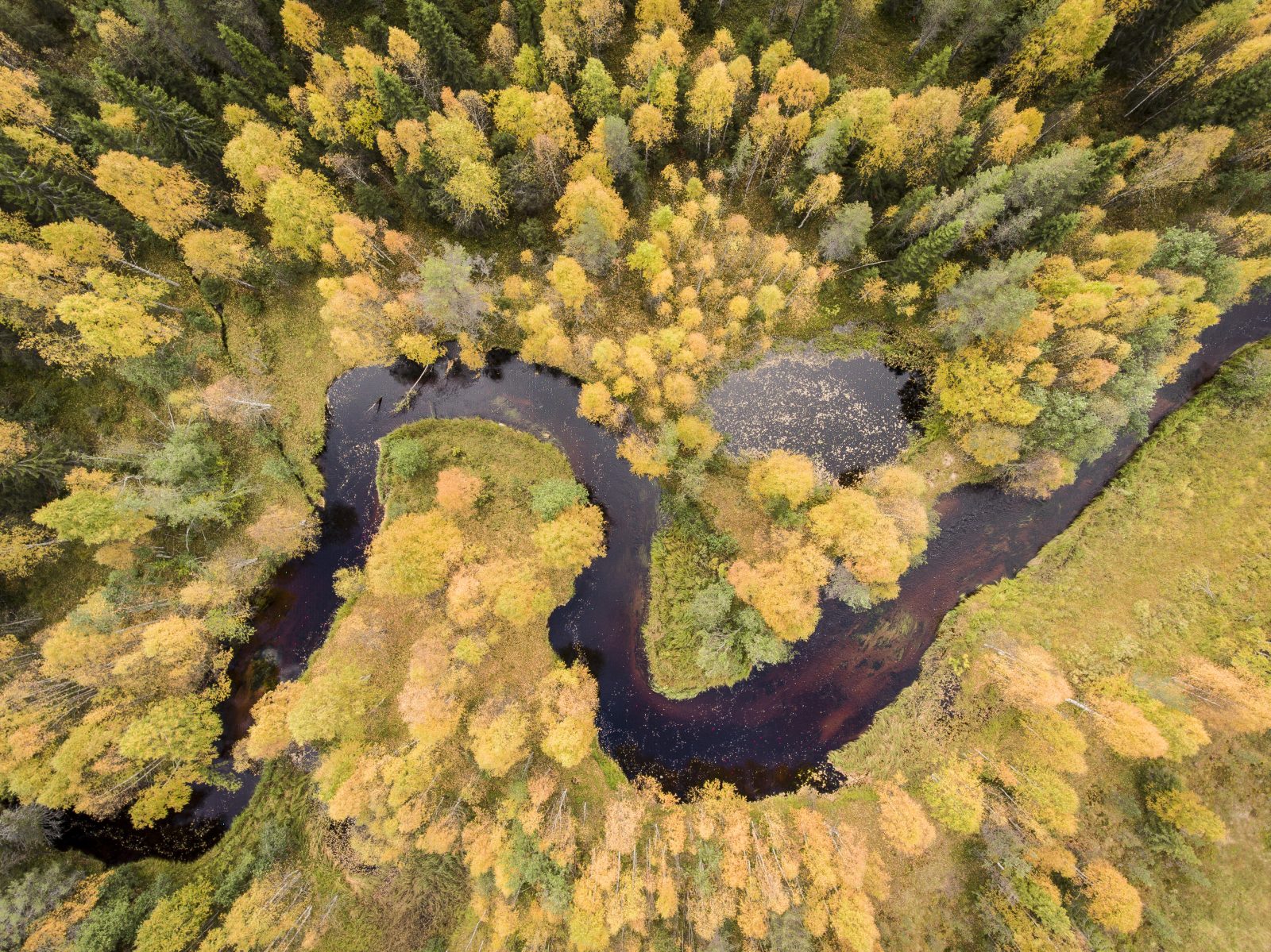 Unberührte Natur bei der BikeReise nach Finnisch Lappland