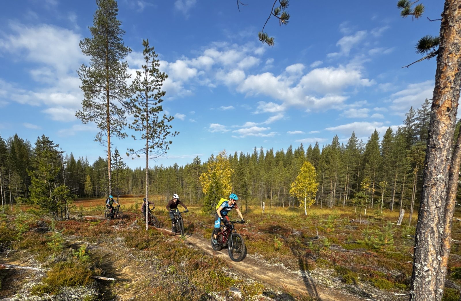 (E-)MTB Tour bei der beitune BikeReise nach Finnisch Lappland