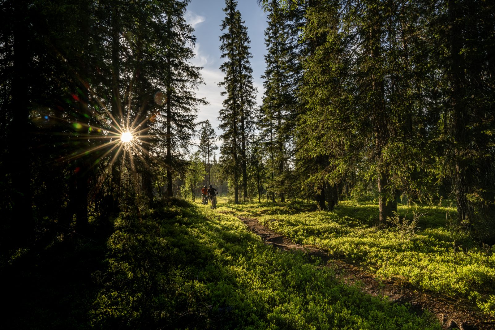 (E-)MTB Tour bei der beitune BikeReise nach Finnisch Lappland