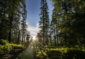 (E-)MTB Tour bei der beitune BikeReise nach Finnisch Lappland