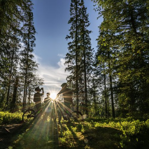(E-)MTB Tour bei der beitune BikeReise nach Finnisch Lappland