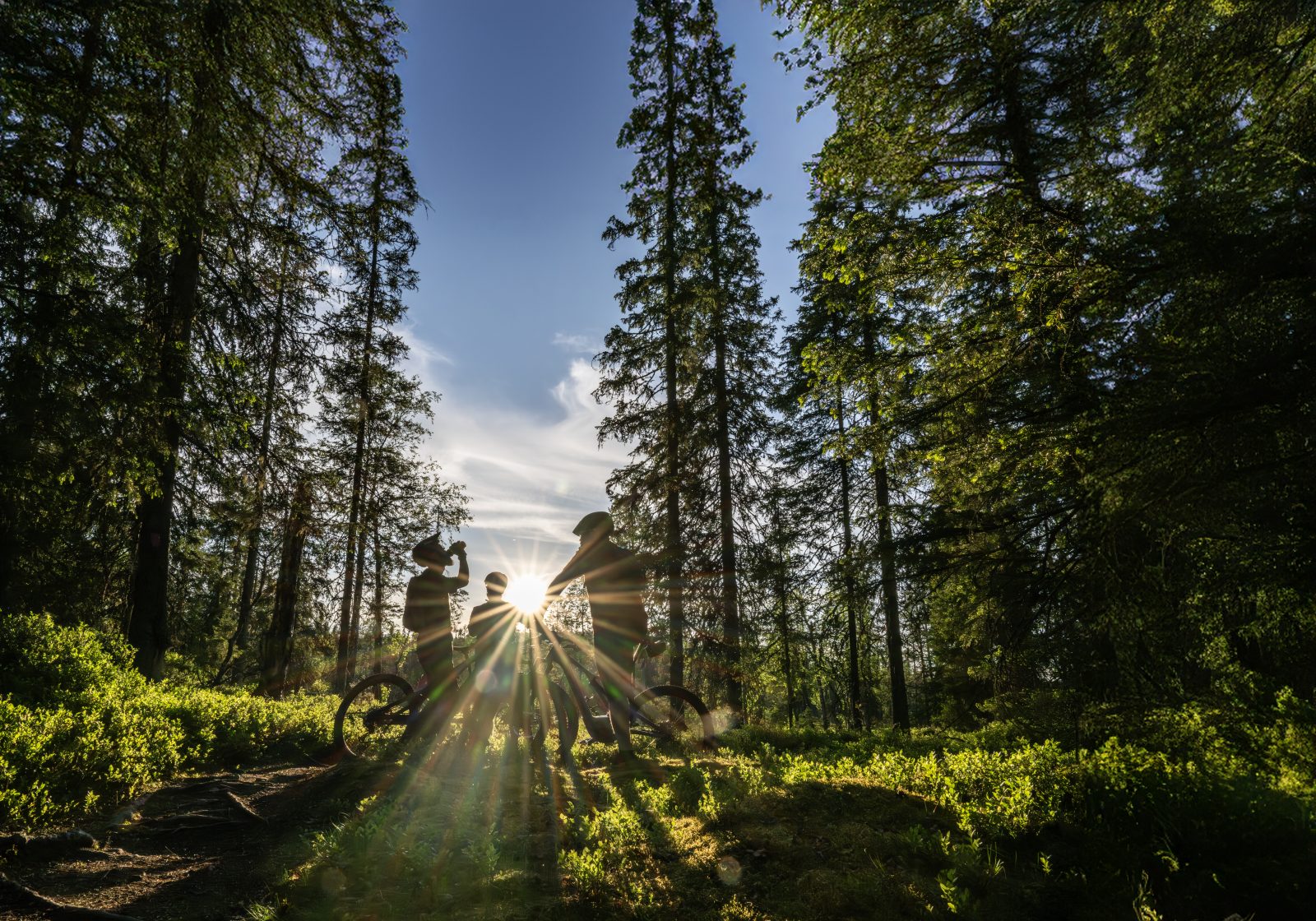 (E-)MTB Tour bei der beitune BikeReise nach Finnisch Lappland