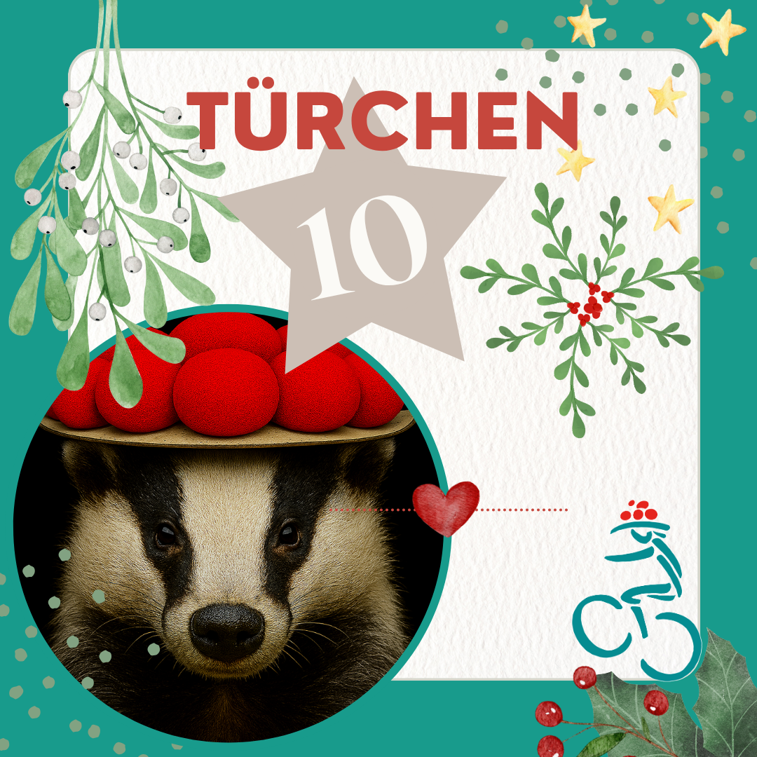 door-Türchen 10