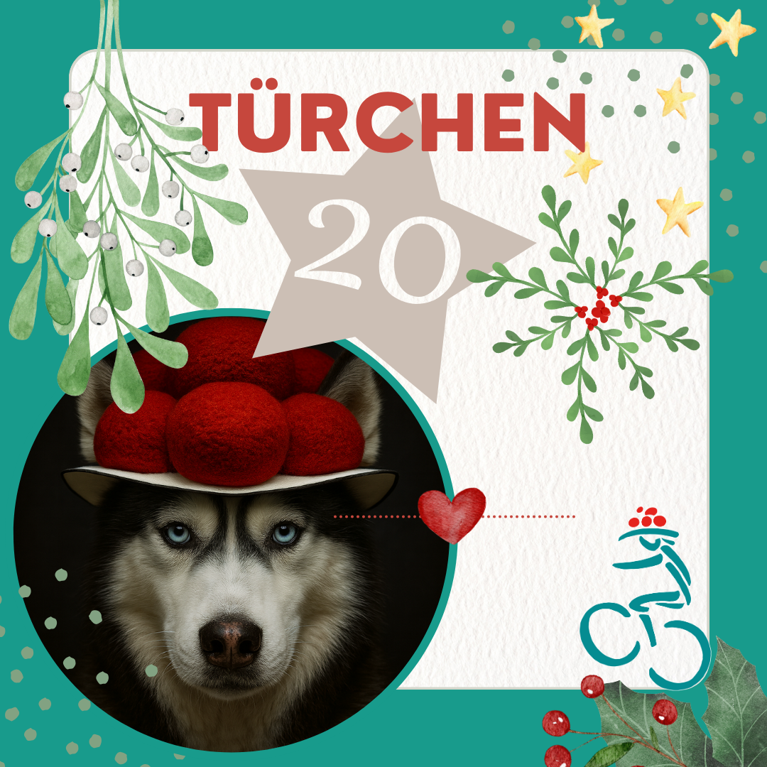 door-Türchen 20