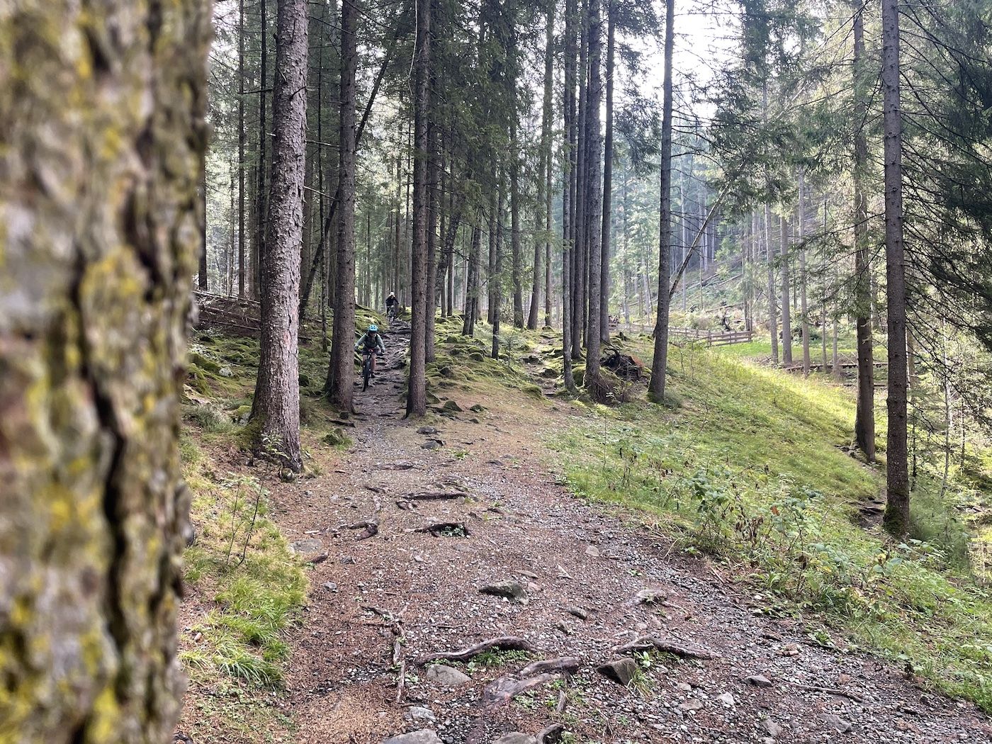beitune Frauen-Transalp | Alpenüberquerung für Frauen: Mountainbiker auf Singletrail
