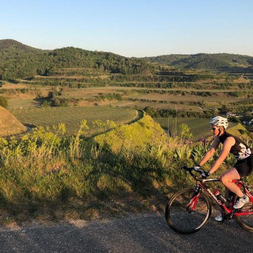 beitune-Rennrad-Kaiserstuhl