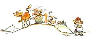 beitune Schwarzwald MTB