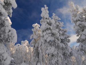 beitune Winterreise nach finnisch Lappland