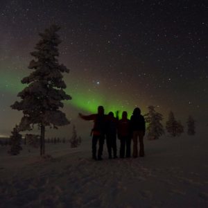 Mit etwas Glück können wir bei der beitune Winterreise nach Lappland tolle Nordlichter bestaunen.
