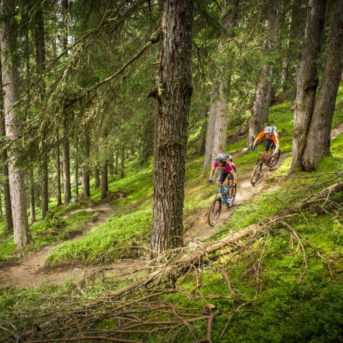Bei den beitune MTB-Touren im Schwarzwald sind wir zwei Tage lang auf den schönsten Singletrails im Schwarzwald unterwegs