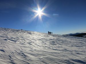 Bei der beitune Schneeschuhwanderung erleben wir die Vogesen aus einer völlig neuen Perspektive