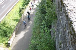 Die Radwege der Alpe Adria Genusstour laden zum Dahinrollen ein.