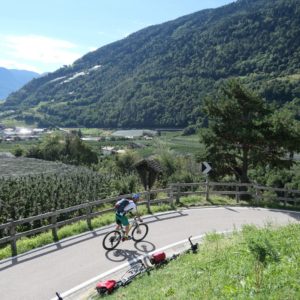 Mountainbiker bei der beitune Via Claudia Augusta Genusstour auf dem Fahrradweg