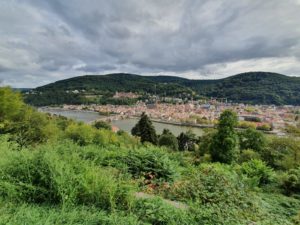 beitune mtb odenwald - Sicht auf Heidelberg