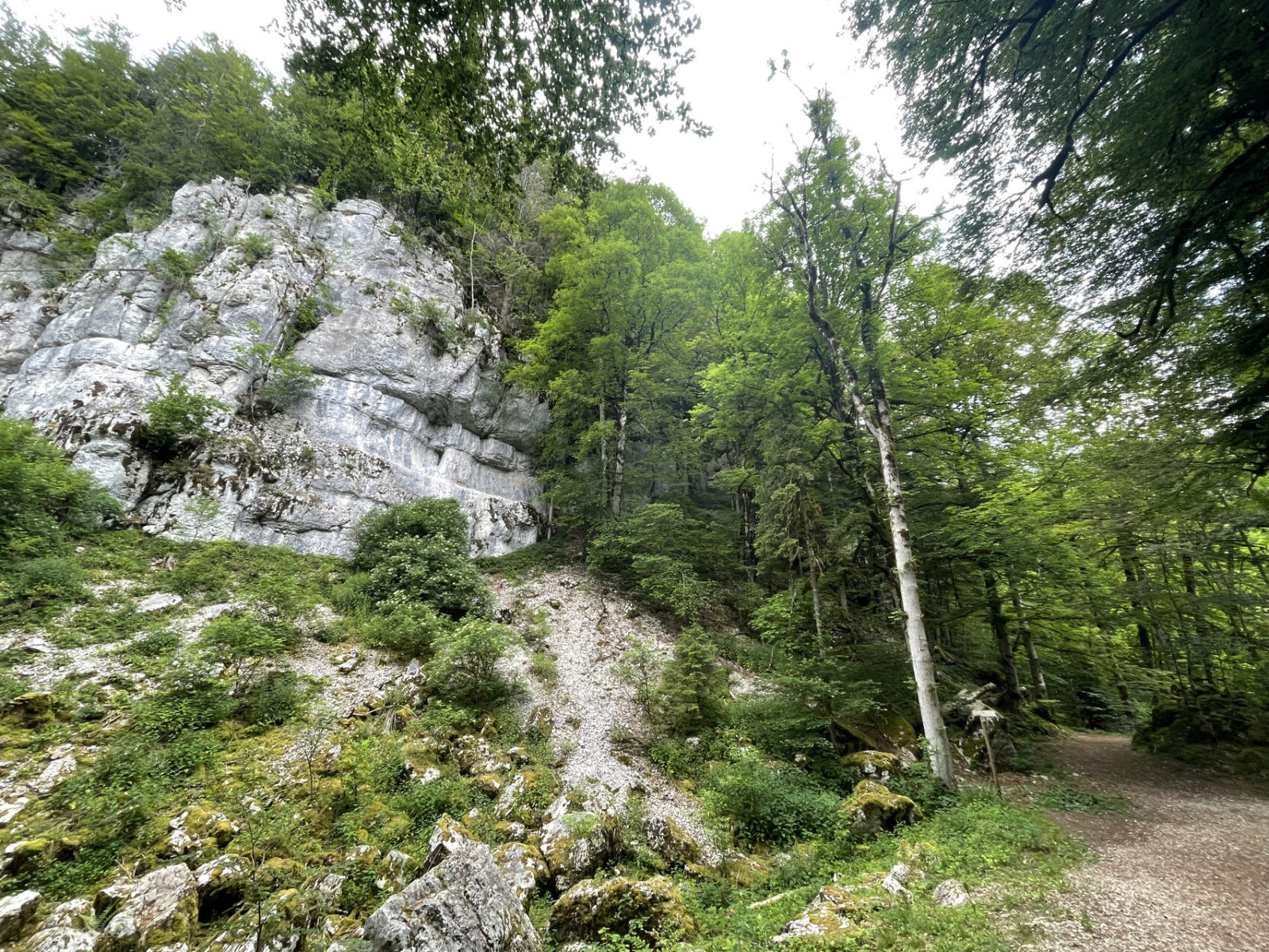 Verwunschene Felsformationen beim beitune Jura-Cross