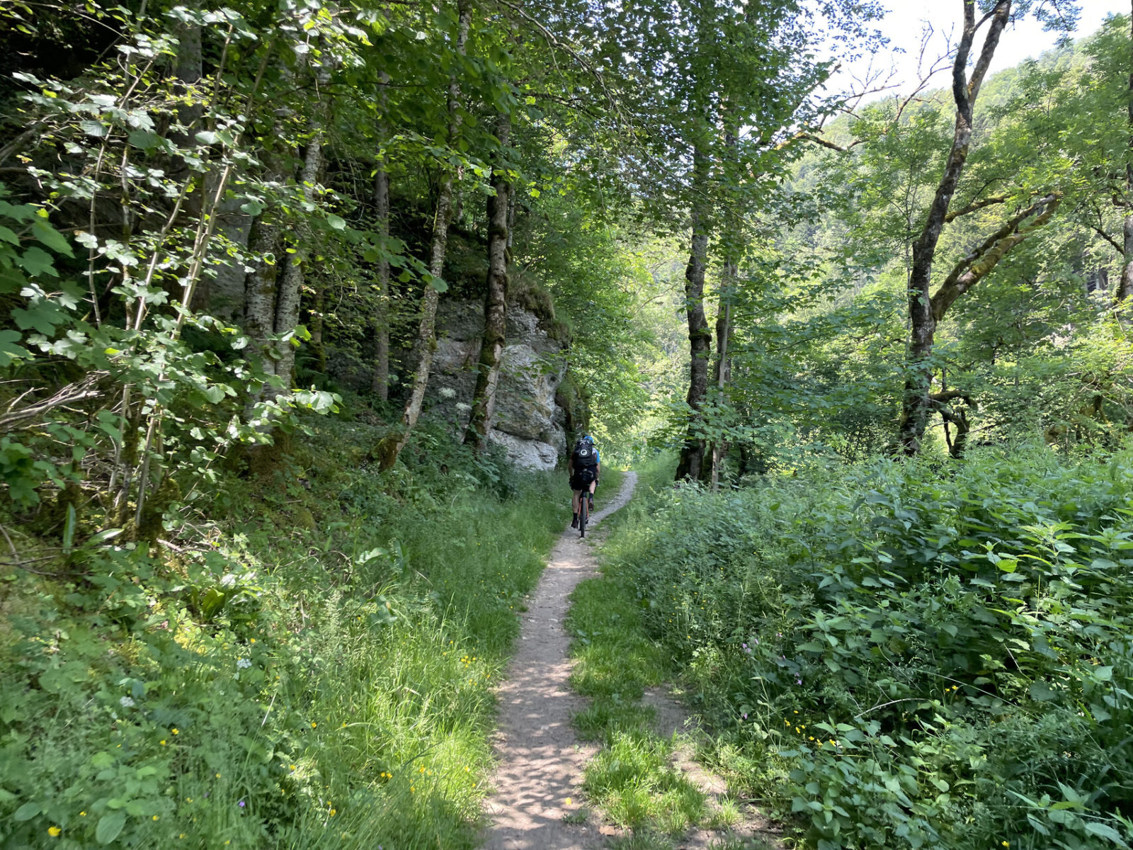 Schattiger Trail beim beitune Jura-Cross