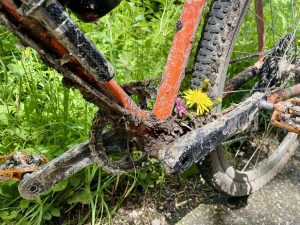 beitune Bike Gardening