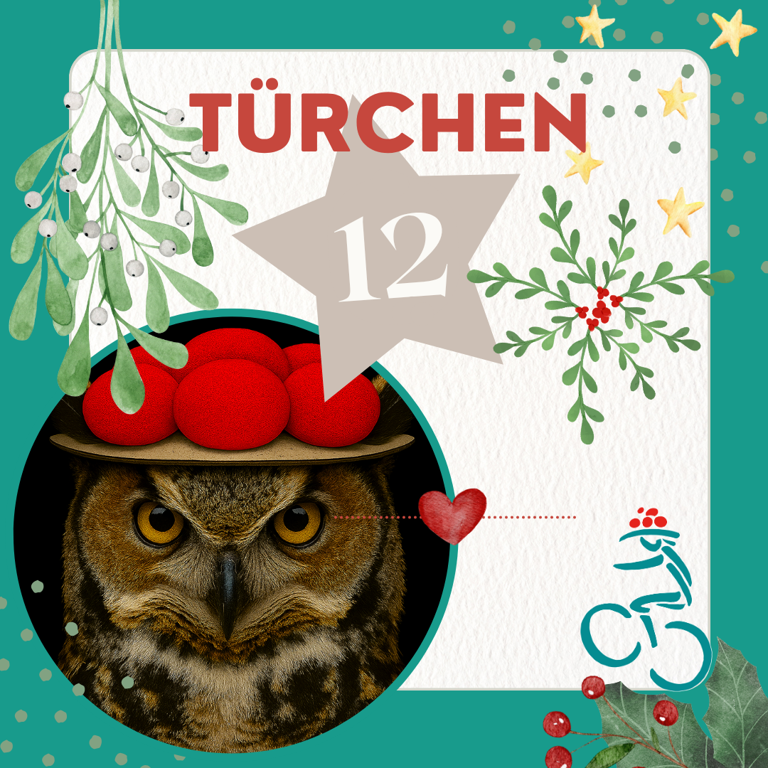 door-Türchen 12